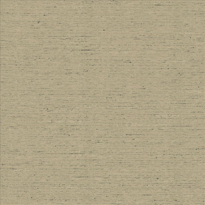 Adjoin Pebble by Kasmir Fabric 5170 100% Polyester
 INDIA 5,000 Wyzenbeek Double Rubs </p><p>Repeat: Horizontal: N/A and Vertical: N/A 54 - Fabric Carolina -
