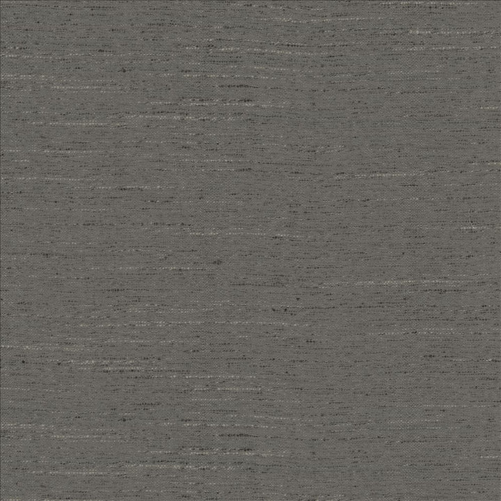Adjoin Pewter by Kasmir Fabric 5170 100% Polyester
 INDIA 5,000 Wyzenbeek Double Rubs </p><p>Repeat: Horizontal: N/A and Vertical: N/A 54 - Fabric Carolina -