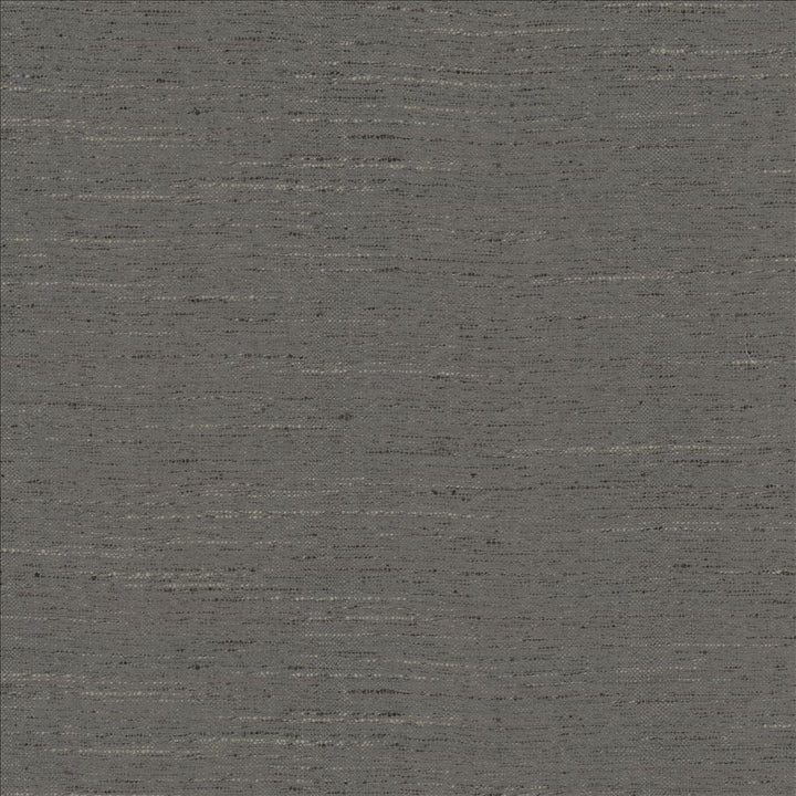 Adjoin Pewter by Kasmir Fabric 5170 100% Polyester
 INDIA 5,000 Wyzenbeek Double Rubs </p><p>Repeat: Horizontal: N/A and Vertical: N/A 54 - Fabric Carolina -