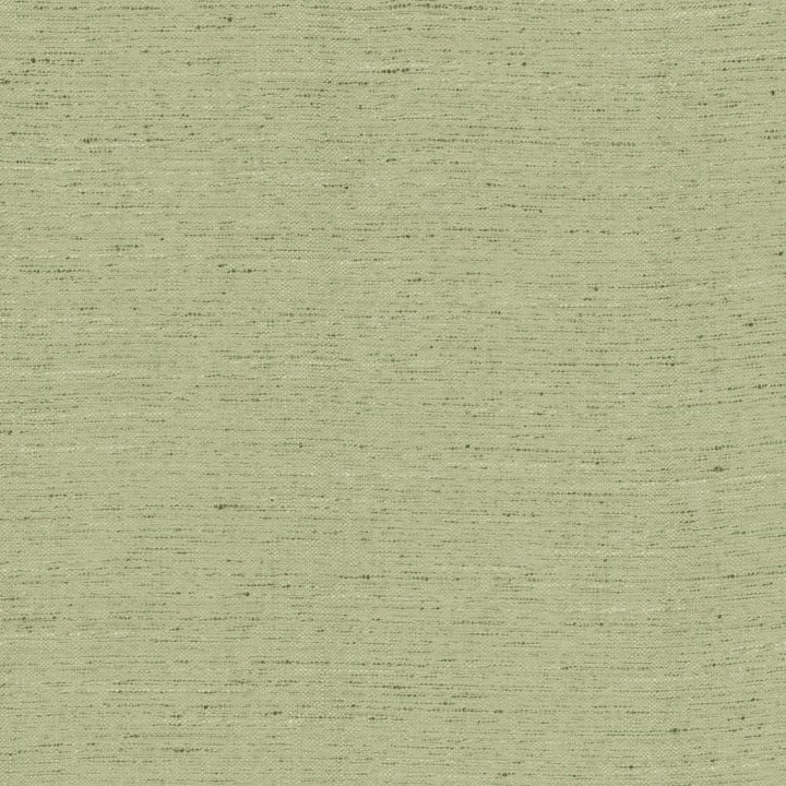 Adjoin Sage by Kasmir Fabric 5170 100% Polyester
 INDIA </p><p>Repeat: Horizontal: N/A and Vertical: N/A 54 - Fabric Carolina -