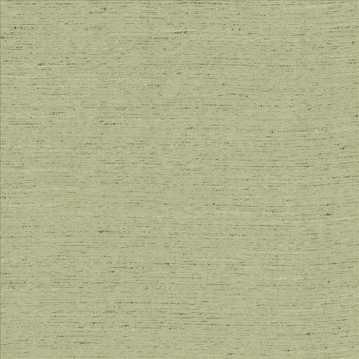 Adjoin Sage by Kasmir Fabric 5170 100% Polyester
 INDIA 5,000 Wyzenbeek Double Rubs </p><p>Repeat: Horizontal: N/A and Vertical: N/A 54 - Fabric Carolina -