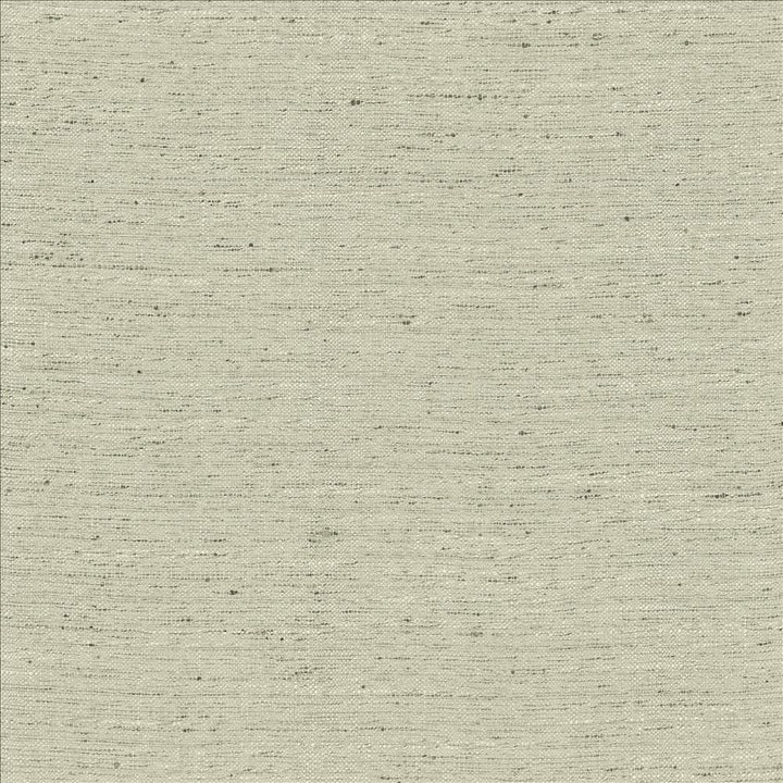 Adjoin Silver by Kasmir Fabric 5170 100% Polyester
 INDIA 5,000 Wyzenbeek Double Rubs Horizontal: N/A and Vertical: N/A 54 - Fabric Carolina -
