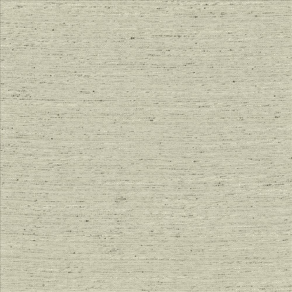 Adjoin Silver by Kasmir Fabric 5170 100% Polyester
 INDIA 5,000 Wyzenbeek Double Rubs </p><p>Repeat: Horizontal: N/A and Vertical: N/A 54 - Fabric Carolina -