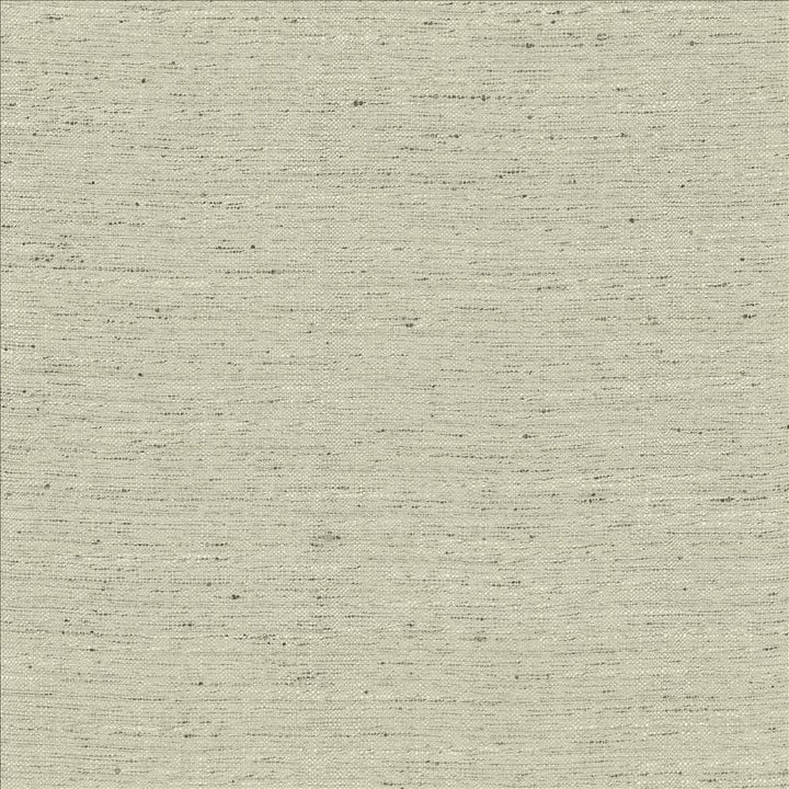 Adjoin Silver by Kasmir Fabric 5170 100% Polyester
 INDIA 5,000 Wyzenbeek Double Rubs </p><p>Repeat: Horizontal: N/A and Vertical: N/A 54 - Fabric Carolina -