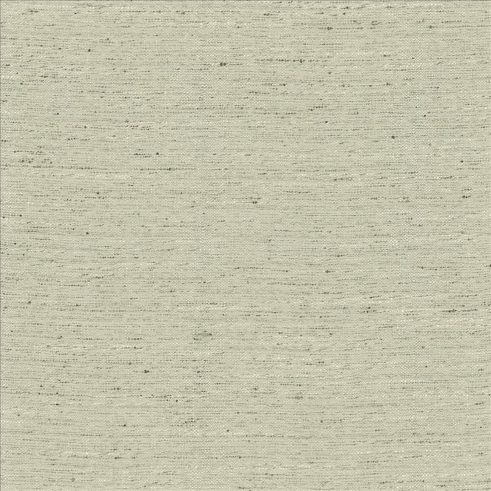 Adjoin Silver  by Kasmir Fabric See sample 100% Polyester
 INDIA 5,000 Wyzenbeek Double Rubs </p><p>Repeat: Horizontal: N/A and Vertical: N/A 54  - Fabric Carolina -