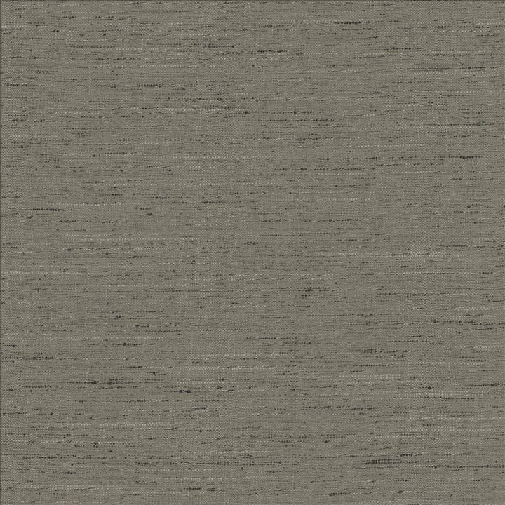 Adjoin Slate by Kasmir Fabric 5170 100% Polyester
 INDIA 5,000 Wyzenbeek Double Rubs </p><p>Repeat: Horizontal: N/A and Vertical: N/A 54 - Fabric Carolina -