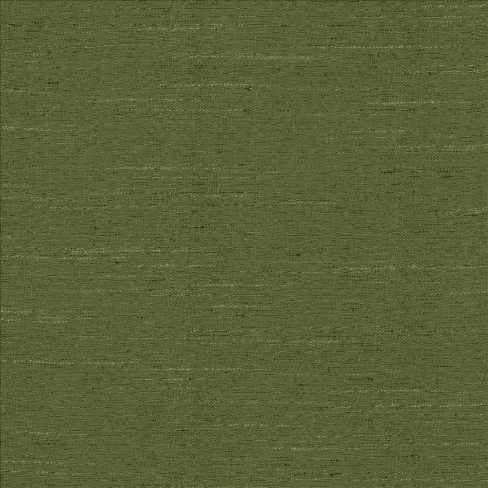 Adjoin Spruce by Kasmir Fabric 5170 100% Polyester
 INDIA 5,000 Wyzenbeek Double Rubs </p><p>Repeat: Horizontal: N/A and Vertical: N/A 54 - Fabric Carolina -
