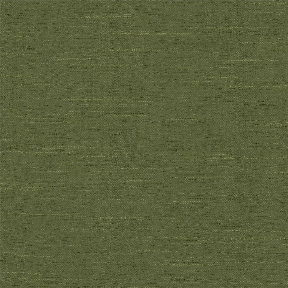 Adjoin Spruce by Kasmir Fabric 5170 100% Polyester
 INDIA 5,000 Wyzenbeek Double Rubs </p><p>Repeat: Horizontal: N/A and Vertical: N/A 54 - Fabric Carolina -
