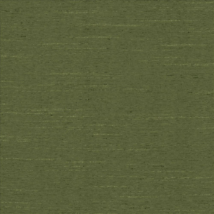 Adjoin Spruce by Kasmir Fabric 5170 100% Polyester
 INDIA 5,000 Wyzenbeek Double Rubs </p><p>Repeat: Horizontal: N/A and Vertical: N/A 54 - Fabric Carolina -