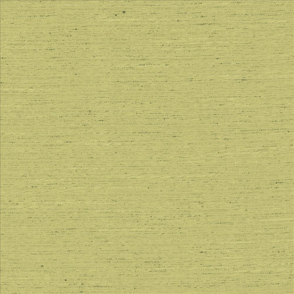 Adjoin Willow by Kasmir Fabric 5170 100% Polyester
 INDIA 5,000 Wyzenbeek Double Rubs </p><p>Repeat: Horizontal: N/A and Vertical: N/A 54 - Fabric Carolina -
