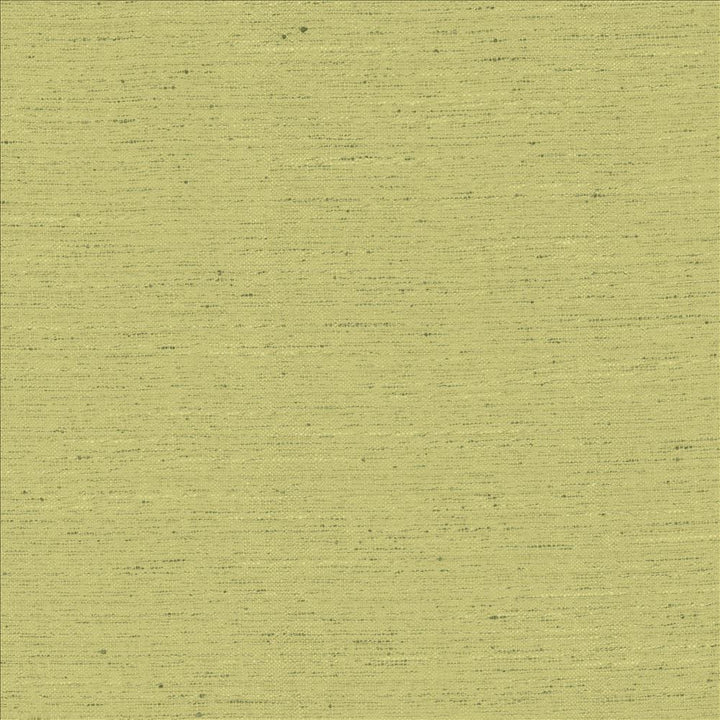 Adjoin Willow by Kasmir Fabric 5170 100% Polyester
 INDIA 5,000 Wyzenbeek Double Rubs </p><p>Repeat: Horizontal: N/A and Vertical: N/A 54 - Fabric Carolina -