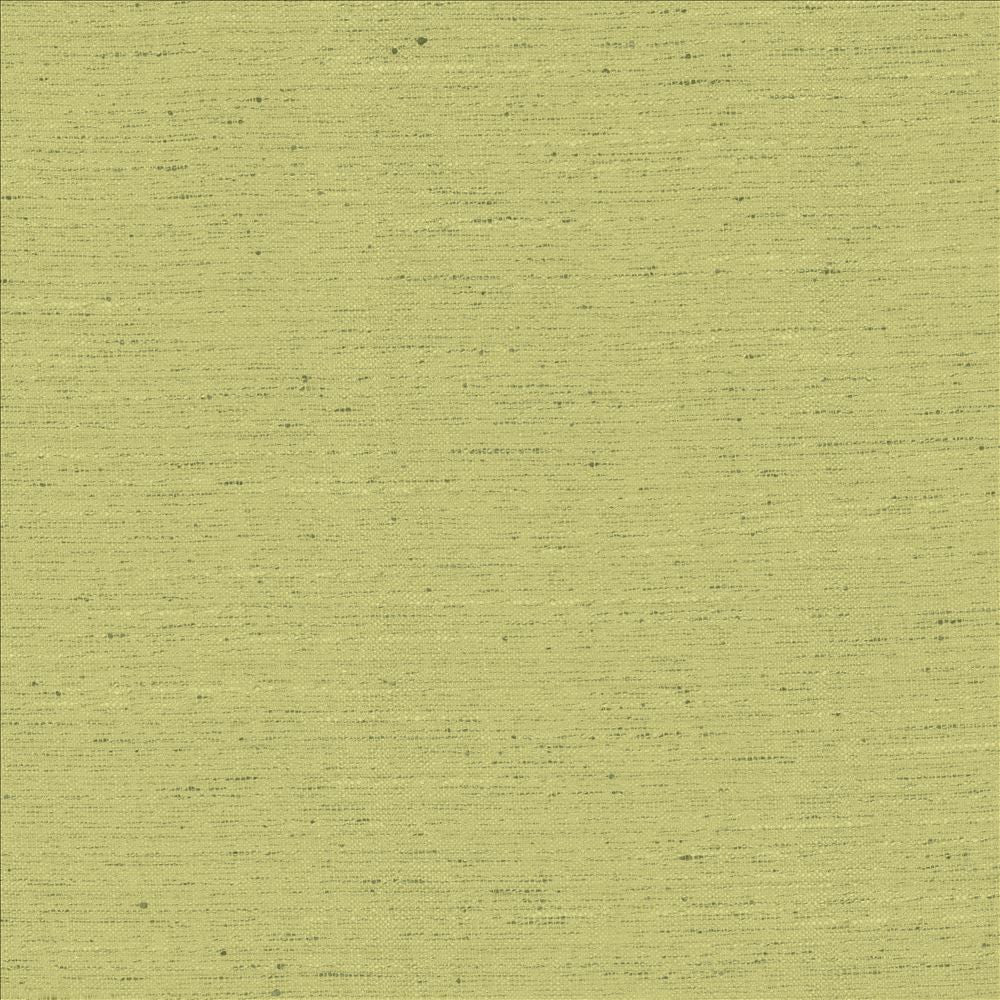 Adjoin Willow by Kasmir Fabric 5170 100% Polyester
 INDIA 5,000 Wyzenbeek Double Rubs </p><p>Repeat: Horizontal: N/A and Vertical: N/A 54 - Fabric Carolina -