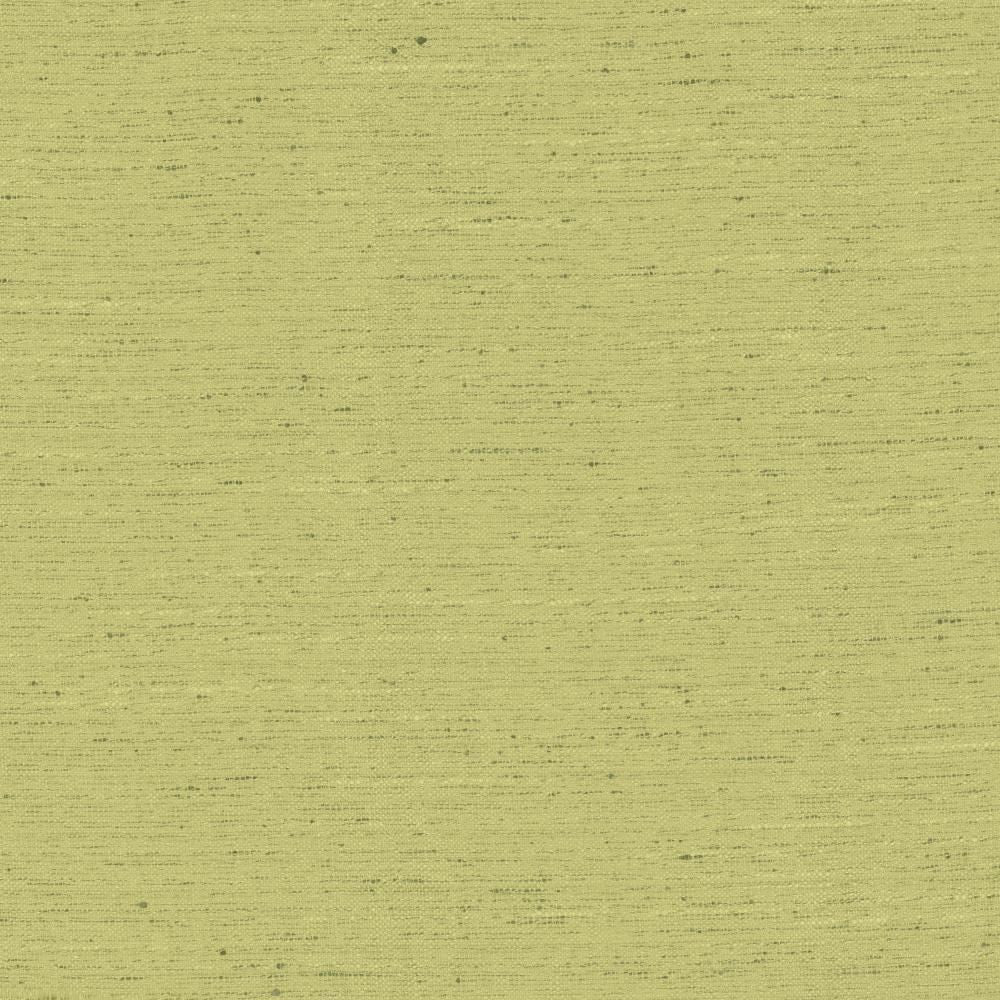 Adjoin Willow by Kasmir Fabric 5170 100% Polyester
 INDIA </p><p>Repeat: Horizontal: N/A and Vertical: N/A 54 - Fabric Carolina -