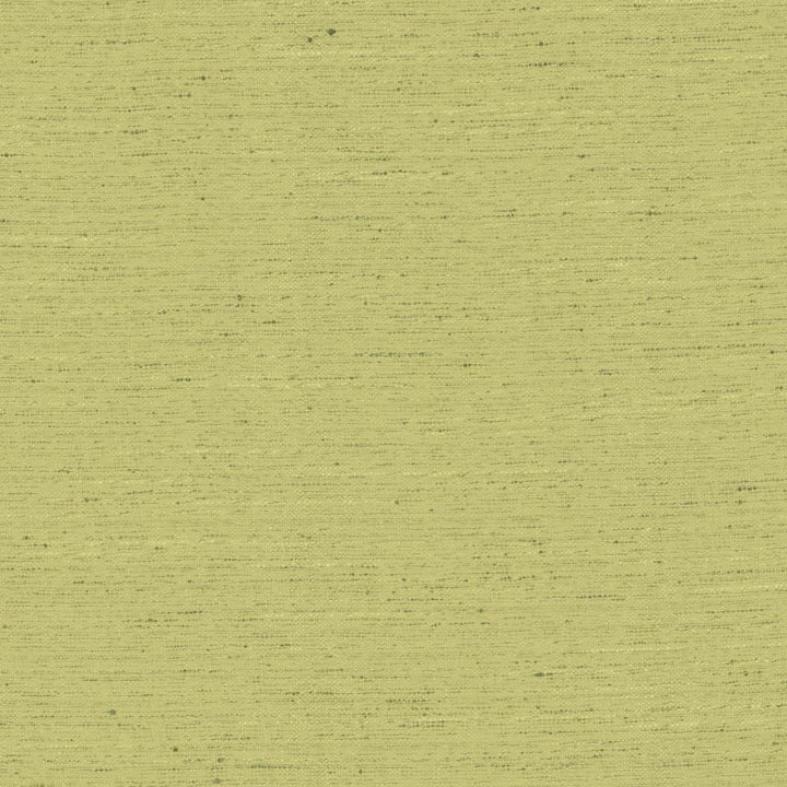 Adjoin Willow by Kasmir Fabric 5170 100% Polyester
 INDIA </p><p>Repeat: Horizontal: N/A and Vertical: N/A 54 - Fabric Carolina -