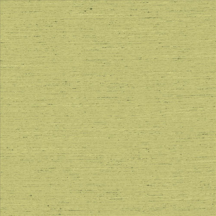 Adjoin Willow by Kasmir Fabric 5170 100% Polyester
 INDIA 5,000 Wyzenbeek Double Rubs Horizontal: N/A and Vertical: N/A 54 - Fabric Carolina -