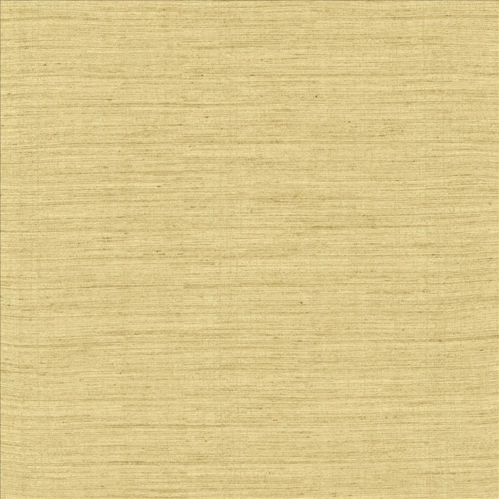 Aegean Blonde by Kasmir Fabric 5150 100% Polyester
 INDIA Not Tested Horizontal: N/A and Vertical: N/A 55 - Fabric Carolina -