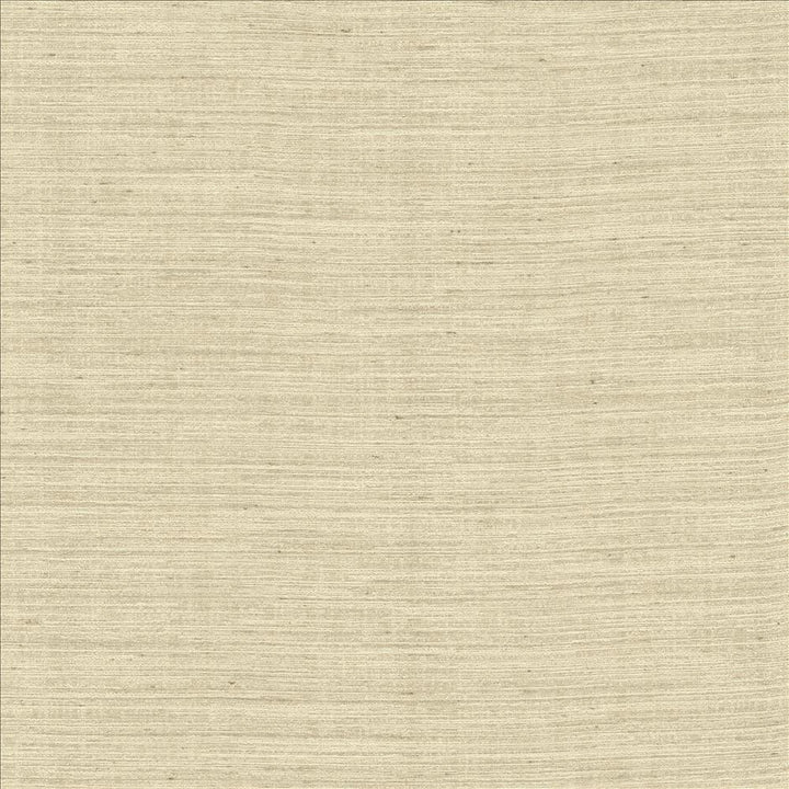 Aegean Cloud by Kasmir Fabric 5150 100% Polyester
 INDIA Not Tested </p><p>Repeat: Horizontal: N/A and Vertical: N/A 55 - Fabric Carolina -
