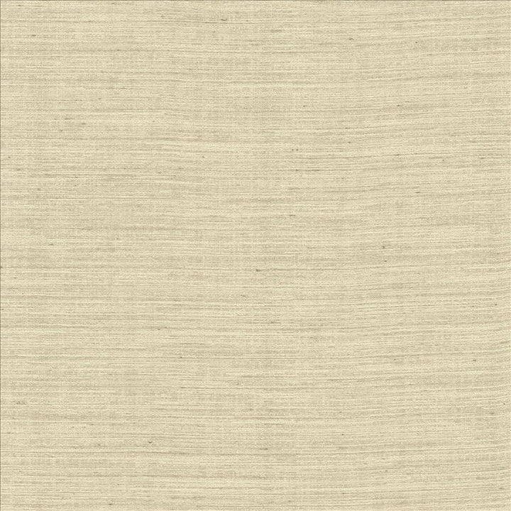 Aegean Cloud by Kasmir Fabric 5150 100% Polyester
 INDIA Not Tested </p><p>Repeat: Horizontal: N/A and Vertical: N/A 55 - Fabric Carolina -