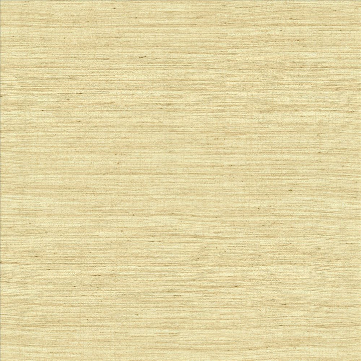 Aegean Linen by Kasmir Fabric 5150 100% Polyester
 INDIA Not Tested Horizontal: N/A and Vertical: N/A 55 - Fabric Carolina -