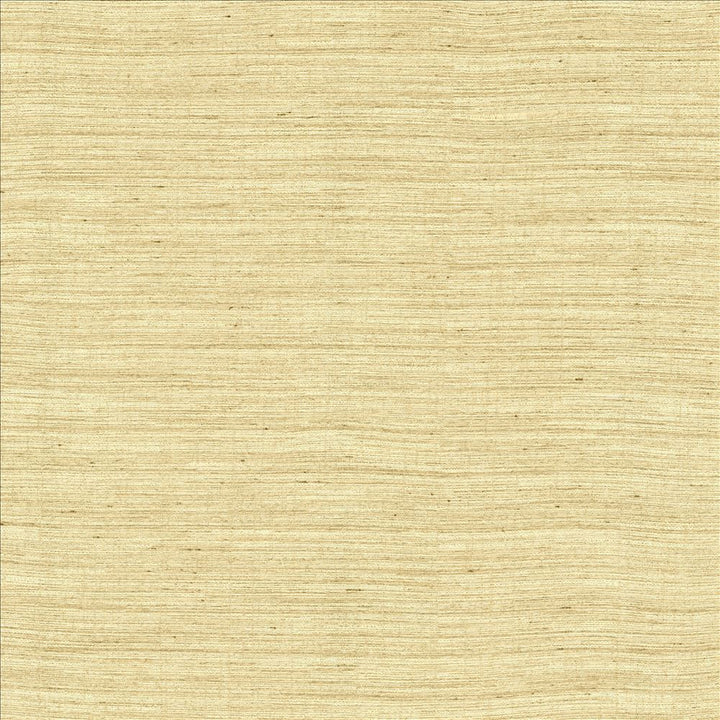 Aegean Linen by Kasmir Fabric 5150 100% Polyester
 INDIA Not Tested </p><p>Repeat: Horizontal: N/A and Vertical: N/A 55 - Fabric Carolina -