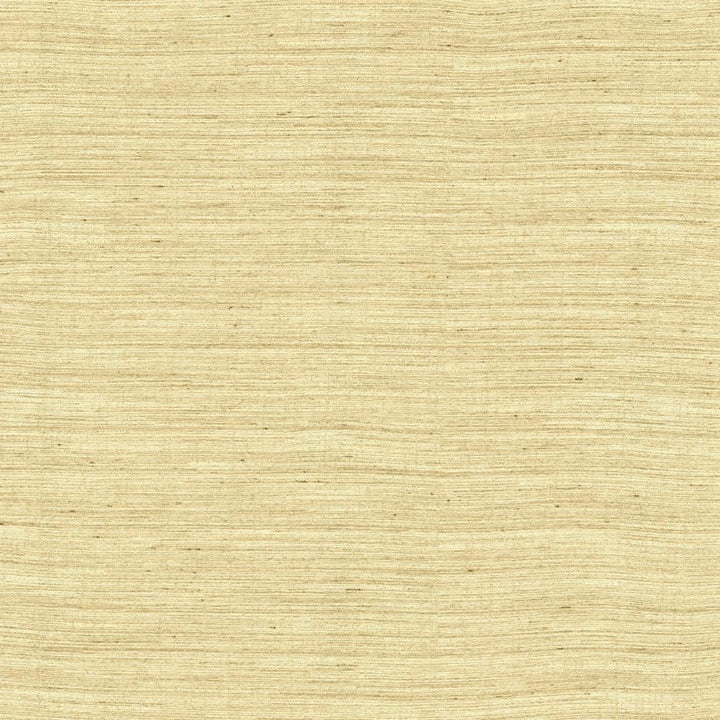 Aegean Linen by Kasmir Fabric 5150 100% Polyester
 INDIA </p><p>Repeat: Horizontal: N/A and Vertical: N/A 55 - Fabric Carolina -
