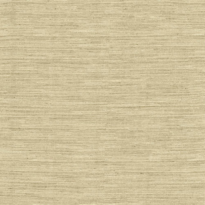 Aegean Natural by Kasmir Fabric 5150 100% Polyester
 INDIA </p><p>Repeat: Horizontal: N/A and Vertical: N/A 55 - Fabric Carolina -