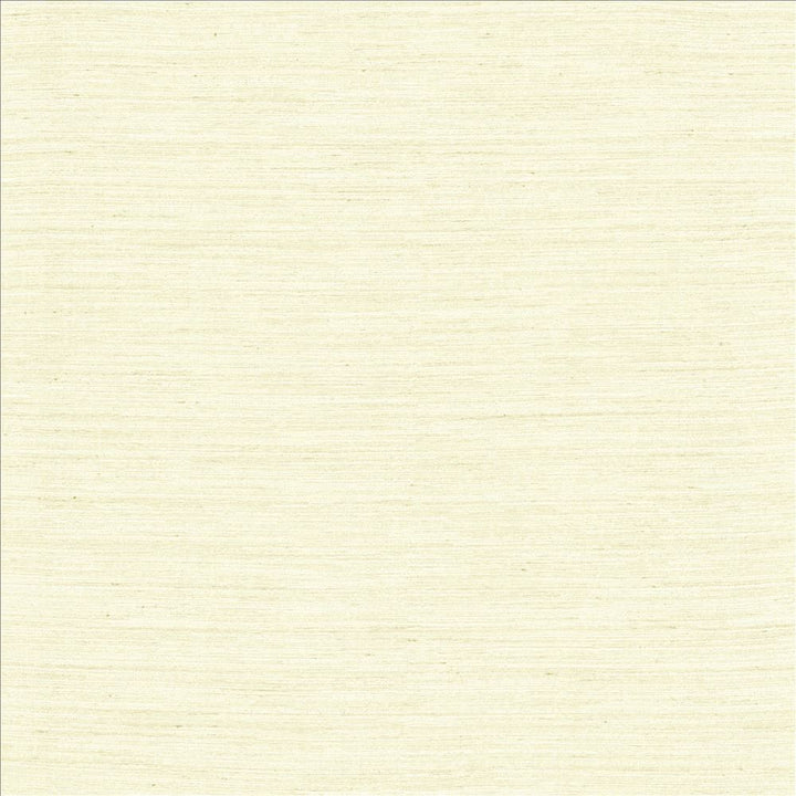 Aegean Off White  by Kasmir Fabric See sample 100% Polyester
 INDIA Not Tested </p><p>Repeat: Horizontal: N/A and Vertical: N/A 55  - Fabric Carolina -