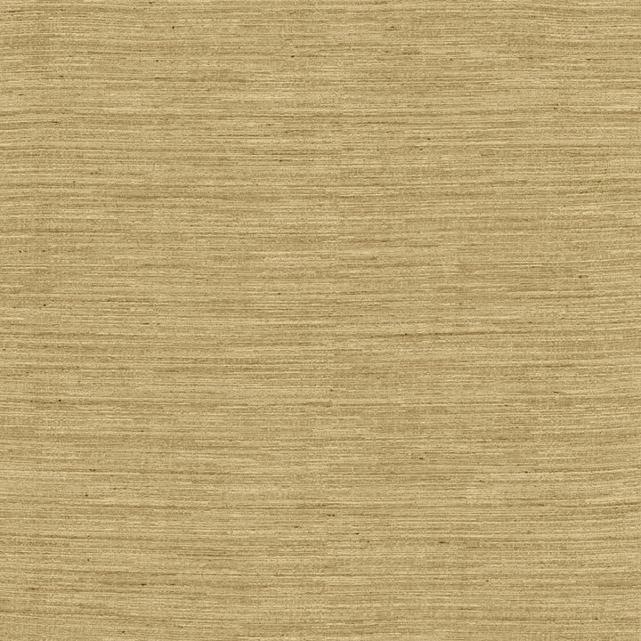 Aegean Taupe by Kasmir Fabric 5150 100% Polyester
 INDIA </p><p>Repeat: Horizontal: N/A and Vertical: N/A 55 - Fabric Carolina -