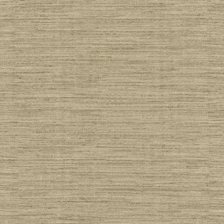 Aegean Viridian Grey by Kasmir Fabric 5150 100% Polyester
 INDIA </p><p>Repeat: Horizontal: N/A and Vertical: N/A 55 - Fabric Carolina -