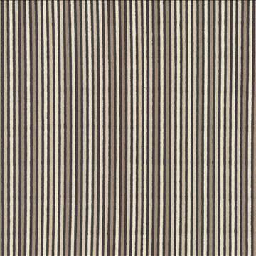 After Five Whisper by Kasmir Fabric 5085 57% Polyester 43% Viscose CHINA 21,000 Wyzenbeek Double Rubs H: 3 inches, V: N/A 54 - 56 - Fabric Carolina - Kasmir