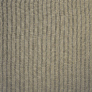 Aiden Linen by Kasmir Fabric
