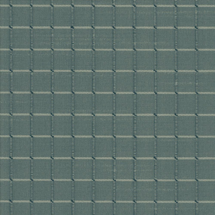 Alder Aspen by Kasmir Fabric 5098 100% Polyester
 INDIA Not Tested Horizontal: 4/8 inches and Vertical: 4/8 inches 54 - Fabric Carolina -