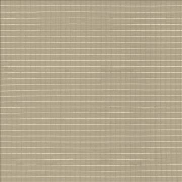 Alder Bark by Kasmir Fabric 5092 100% Polyester INDIA Not Tested H: 4/8 inches, V: 4/8 inches 54 - Fabric Carolina - Kasmir