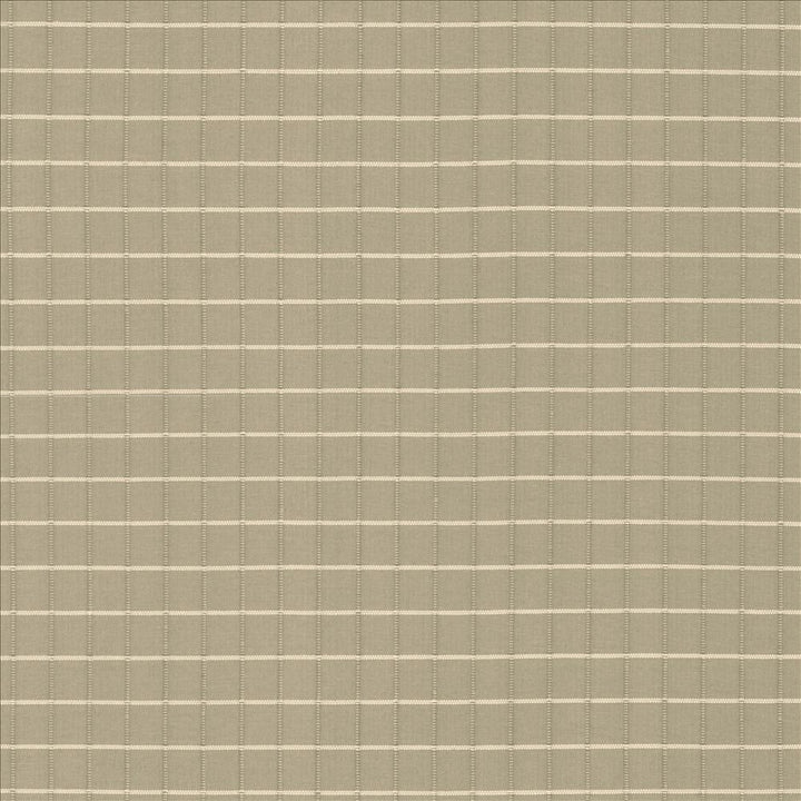 Alder Bark by Kasmir Fabric 5092 100% Polyester
 INDIA Not Tested </p><p>Repeat: Horizontal: 4/8 inches and Vertical: 4/8 inches 54 - Fabric Carolina -