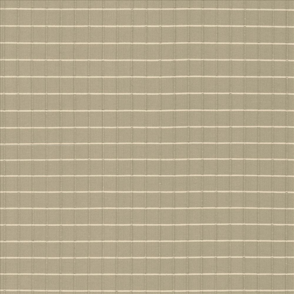 Alder Bark by Kasmir Fabric 5092 100% Polyester
 INDIA Not Tested </p><p>Repeat: Horizontal: 4/8 inches and Vertical: 4/8 inches 54 - Fabric Carolina -
