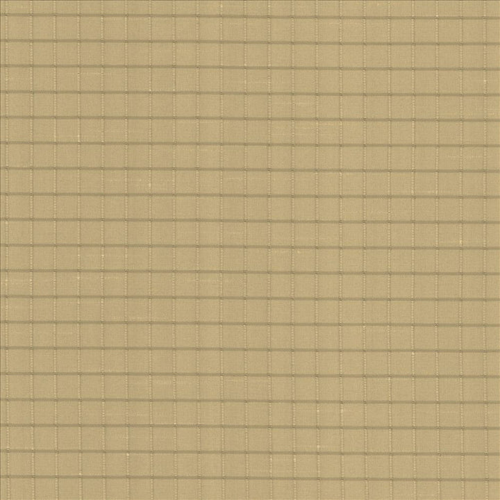 Alder Mustard by Kasmir Fabric 5093 100% Polyester INDIA Not Tested Horizontal: 4/8 inches and Vertical: 4/8 inches 54 - Fabric Carolina -