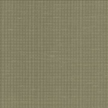 Alder Willow by Kasmir Fabric 5099 100% Polyester INDIA Not Tested H: 4/8 inches, V: 4/8 inches 54 - Fabric Carolina - Kasmir