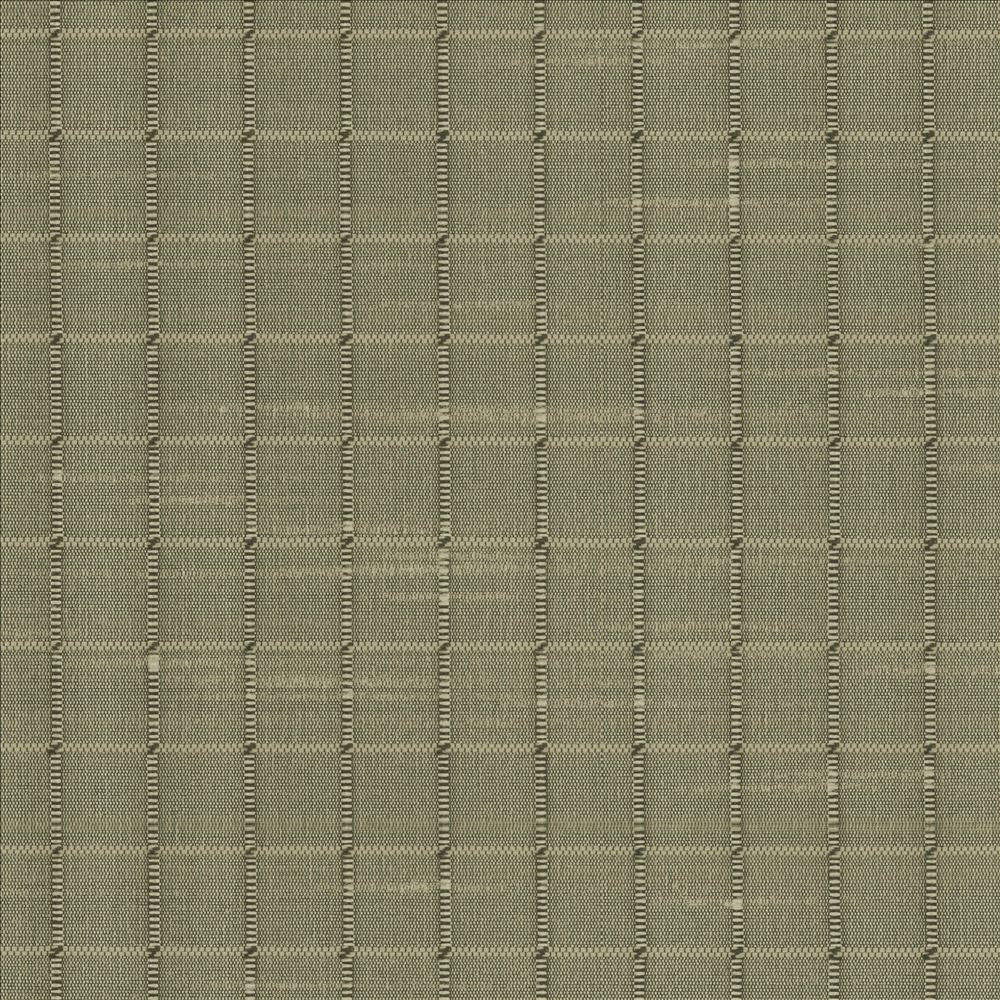 Alder Willow by Kasmir Fabric 5099 100% Polyester
 INDIA Not Tested </p><p>Repeat: Horizontal: 4/8 inches and Vertical: 4/8 inches 54 - Fabric Carolina -