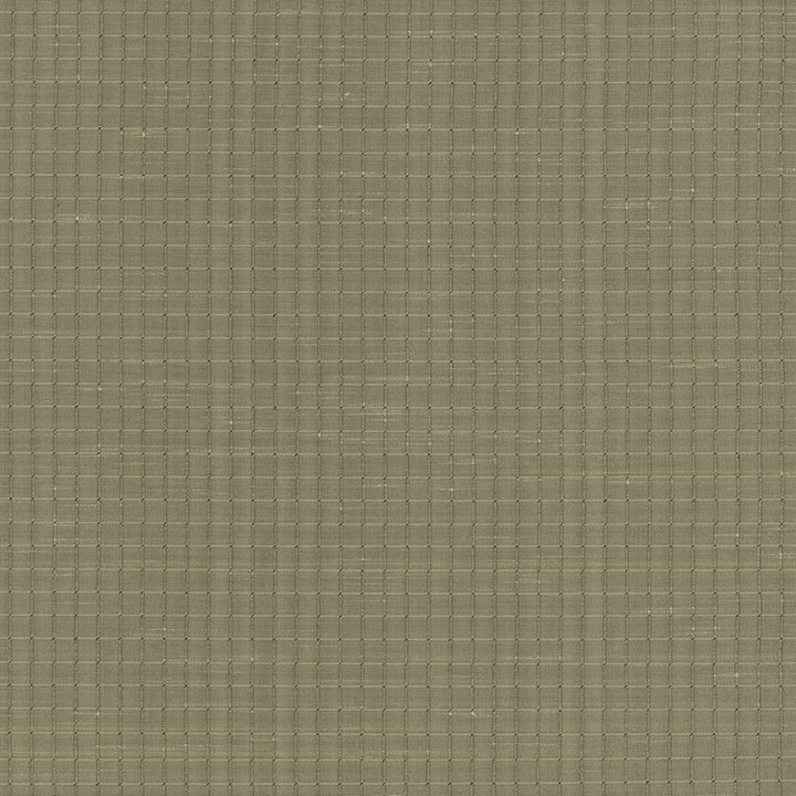 Alder Willow by Kasmir Fabric 5099 100% Polyester INDIA Not Tested H: 4/8 inches, V:4/8 inches 54 - Fabric Carolina - Kasmir