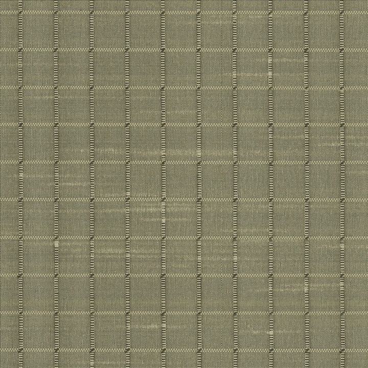 Alder Willow by Kasmir Fabric 5099 100% Polyester
 INDIA Not Tested </p><p>Repeat: Horizontal: 4/8 inches and Vertical: 4/8 inches 54 - Fabric Carolina -