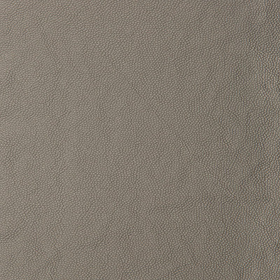Kravet Smart Aldwin-1121 by Kravet Smart Fabric
