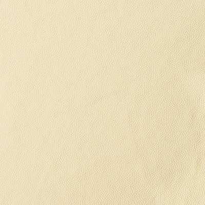 Kravet Smart Aldwin-1 by Kravet Smart Fabric