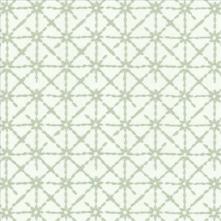 Alesia Spa by Kasmir Fabric 1455 50% Cotton
50% Polyester
 INDIA </p><p>Repeat: Horizontal: 4 3/8 inches and Vertical: 6 3/8 inches 55 - Fabric Carolina -