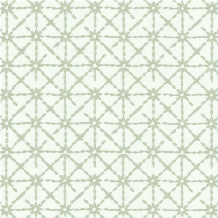 Alesia Spa by Kasmir Fabric 1455 50% Cotton
50% Polyester
 INDIA 8,500 Wyzenbeek Double Rubs </p><p>Repeat: Horizontal: 4 3/8 inches and Vertical: 6 3/8 inches 55 - Fabric Carolina -