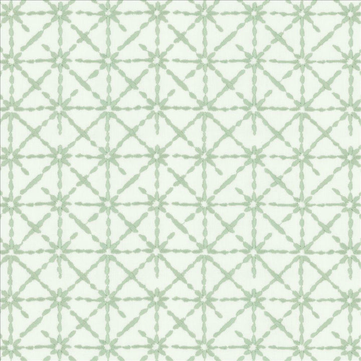 Alesia Spa by Kasmir Fabric 1455 50% Cotton
50% Polyester
 INDIA 8,500 Wyzenbeek Double Rubs Horizontal: 4 3/8 inches and Vertical: 6 3/8 inches 55 - Fabric Carolina -