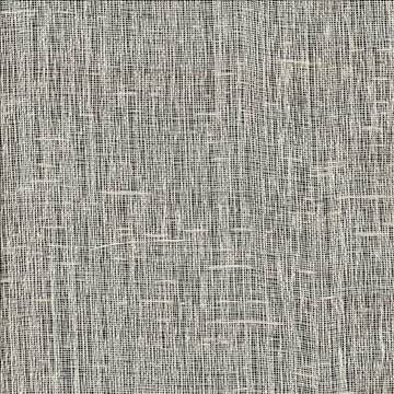 Alfie Oat by Kasmir Fabric 1373 100% Polyester TURKEY Not Tested H: N/A, V: N/A 118 - Fabric Carolina - Kasmir
