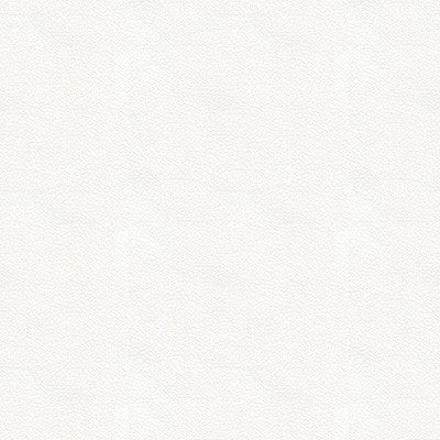 Kravet Design Ali-101 by Kravet Design Fabric