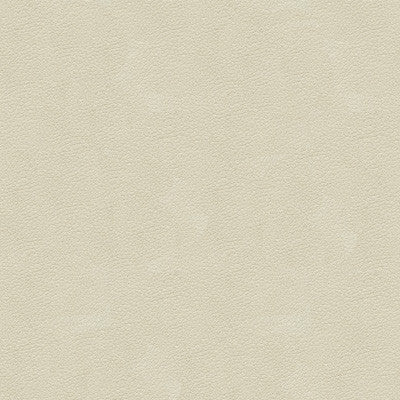 Kravet Design Ali-111 by Kravet Design Fabric