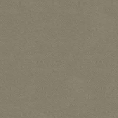 Kravet Design Ali-11 by Kravet Design Fabric