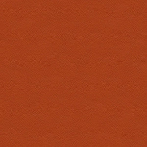 Kravet Design Ali-12 by Kravet Design Fabric